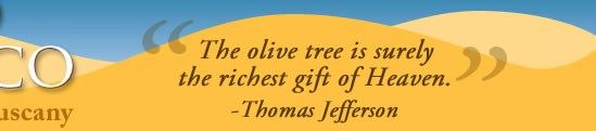 Thomas Jefferson quote: 'The olive tree is surely the richest gift of Heaven.'