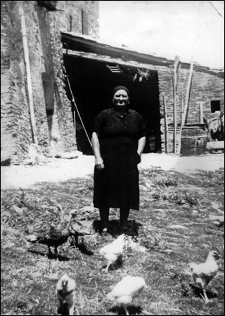 Lady with Chickens